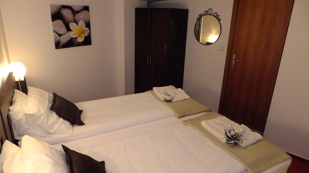 Bansko Prespa Ski Penthouse 部屋 写真