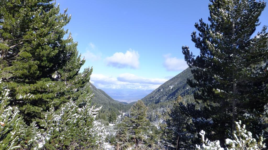 Bansko Prespa Ski Penthouse 部屋 写真