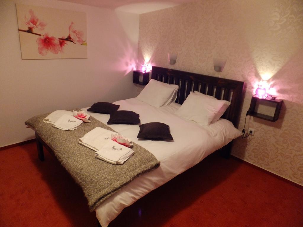 Bansko Prespa Ski Penthouse 部屋 写真
